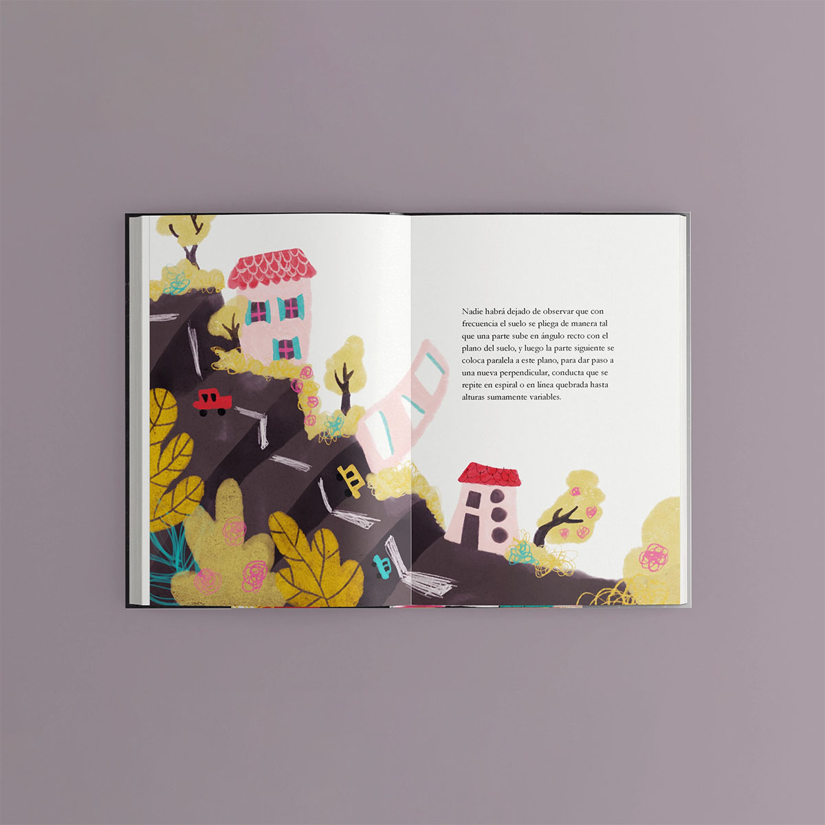 Pages of Instrucciones para subir una escalera