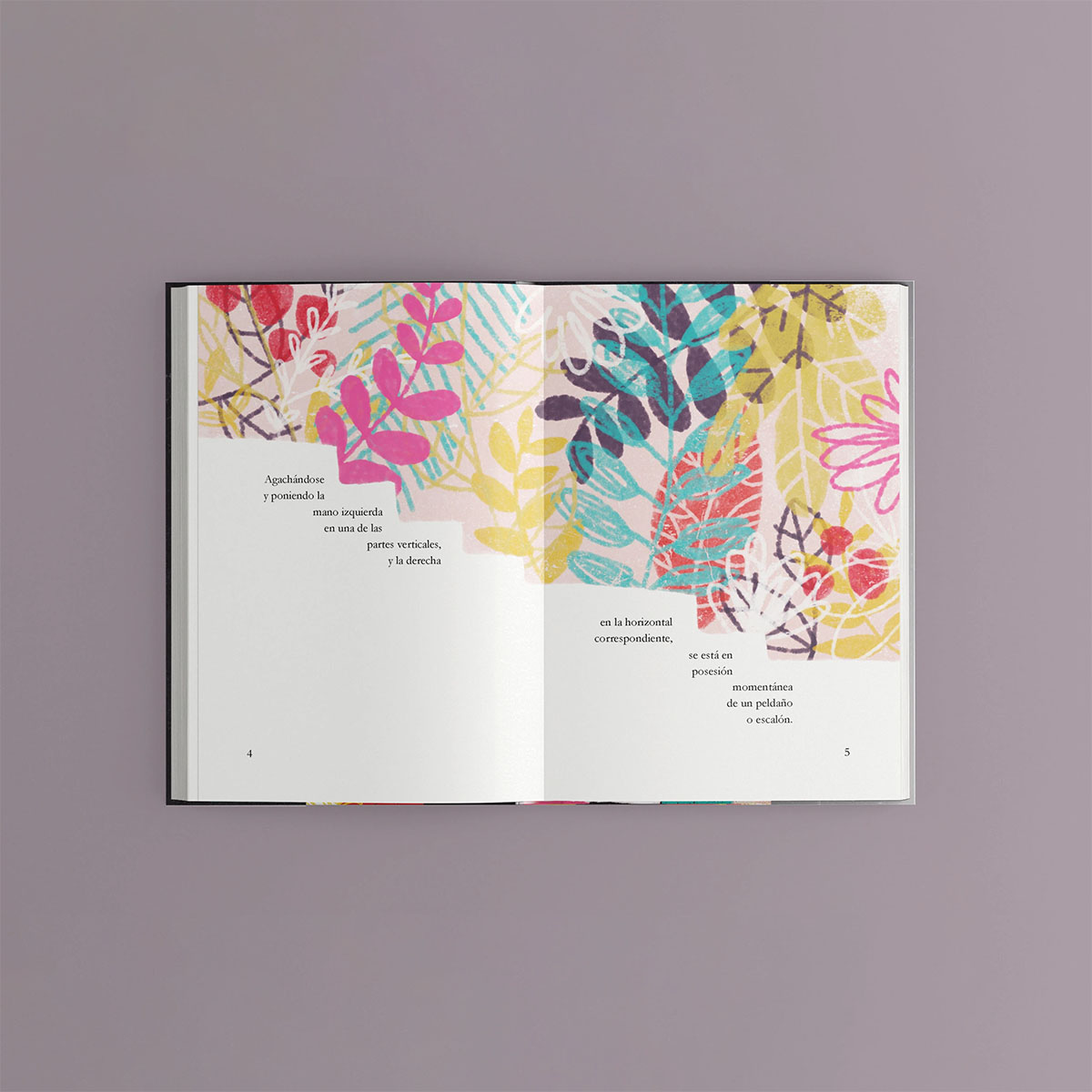 Pages of Instrucciones para subir una escalera