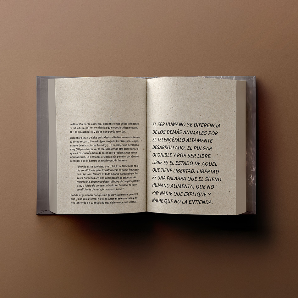 Pages of De materiales y otras cosas